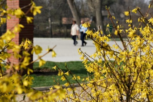 Vreme frumoasă în prima parte a zilei de duminică. În a doua zi de Paște se răcește și plouă în toate regiunile.  Sursa foto jurnalul.ro 