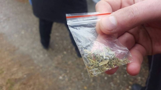 Prinşi cu etnobotanice în parc şi în Pădurea Hoia