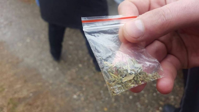 Prinşi cu etnobotanice în parc şi în Pădurea Hoia