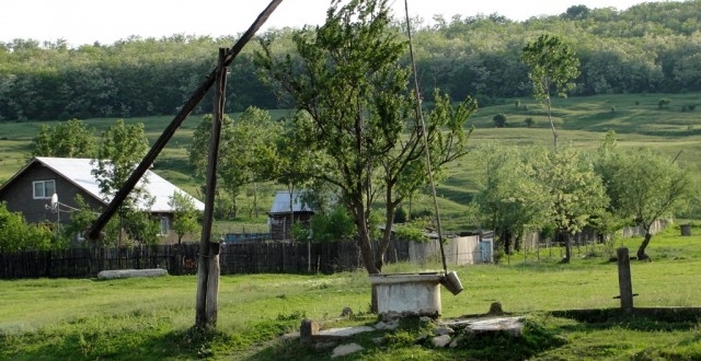 sursa foto stiriagricole.ro