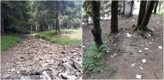 Mizerie, râu secat, brazi arși în zona turistică Padiș: „Nu e nevoie ca locul să devină un bâlci infect!”