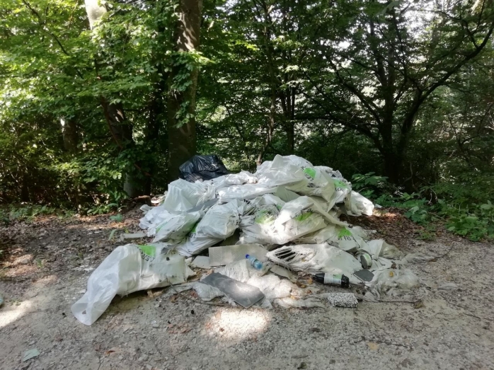 Munți de gunoaie îi întâmpină pe clujeni în pădurea Făget. Patru soluții propuse