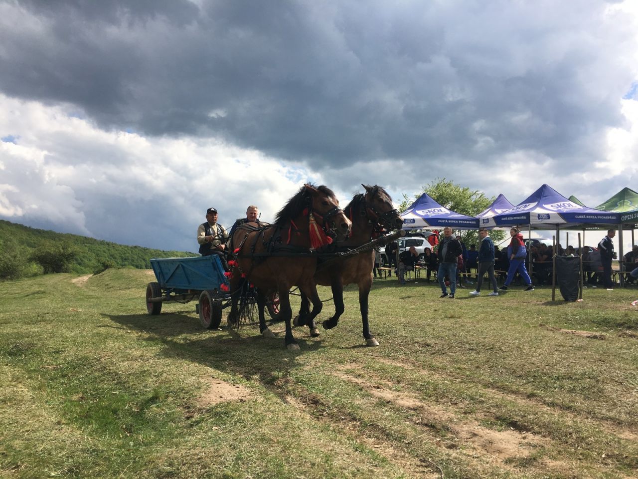 Foto Spectacol Cabalin La Concursul Cu Cai De Tractiune Si Frumusete De La Salicea Cluj Napoca Ziare Com
